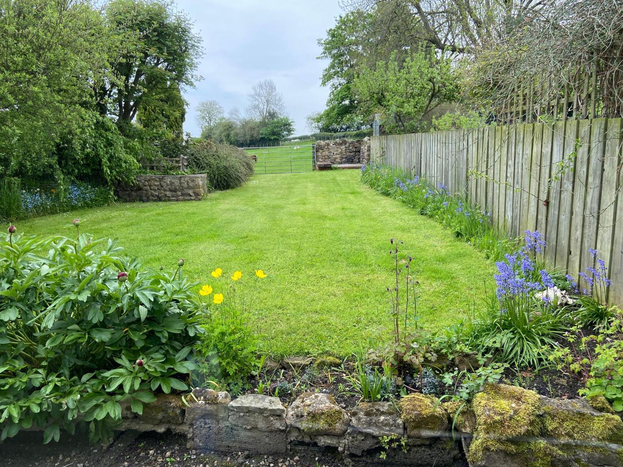 Wensleydale Stone Cottage Hunton  Exterior foto